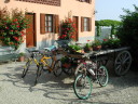 CASCINA DELLE ROSE 1t.JPG